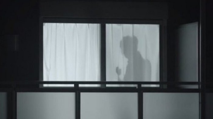 Man on the Curtain is Japanese Latest Invention To Prevent Less Crime