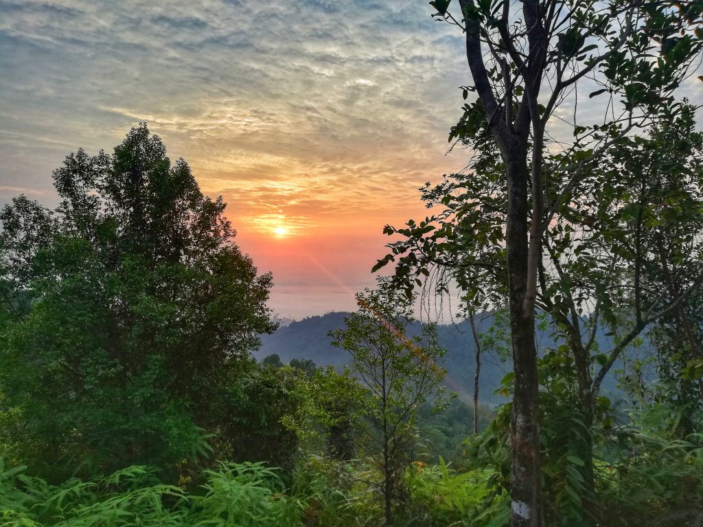 Experience marvelous sunrise when you hike up to Panorama Hill in the historical place of Sungai Lembing. 
