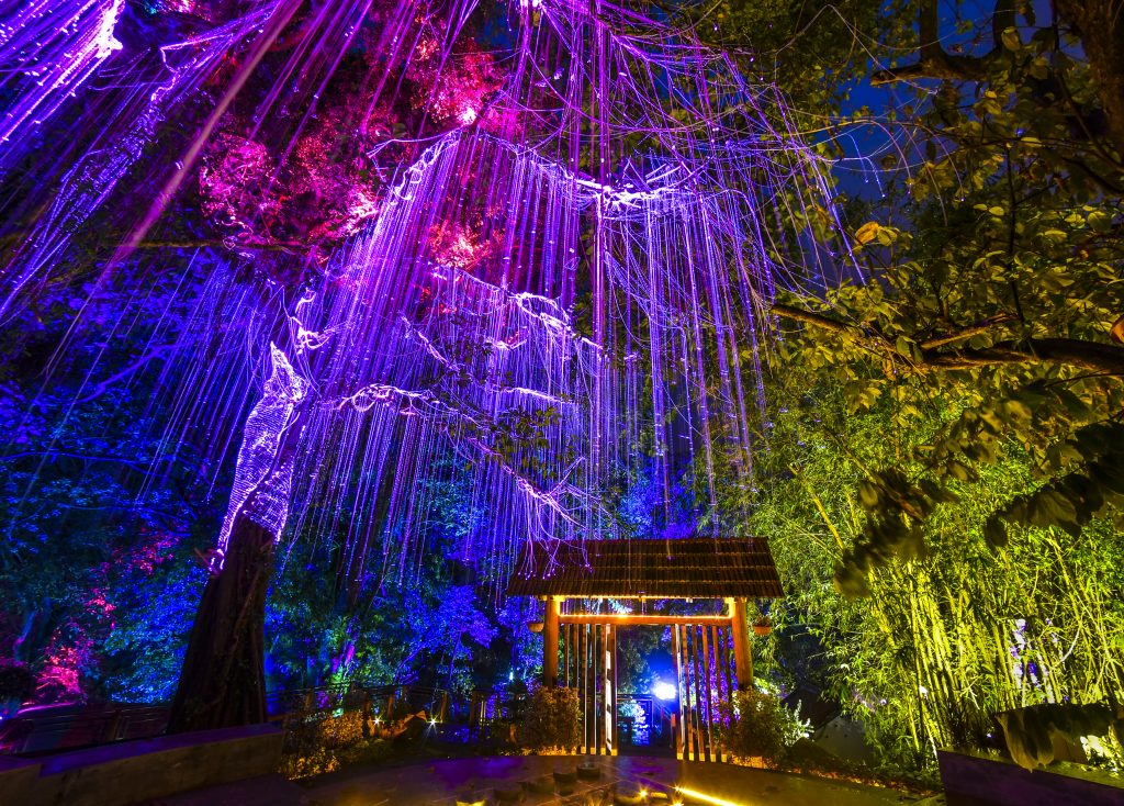 Be in an Avatar fantasy land with the Penang Secret Garden, perfect for family and friends. (image via David ST Loh )