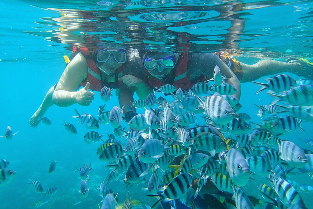 Explore the aquatic species and stunning coral reefs when you’re in Tioman. (image via tioman.org)