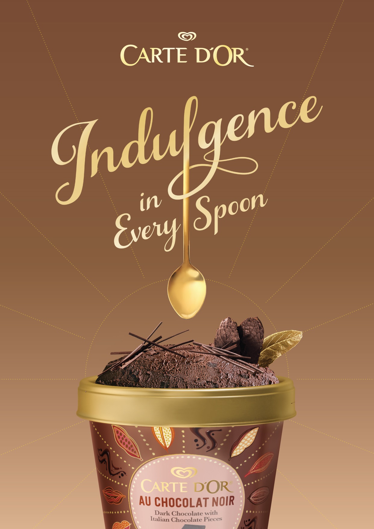 Carte D'Or - Ice Cream Flavour (Chocolate)